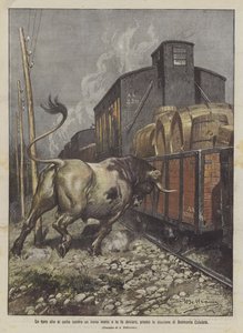 Ein Stier wirft sich gegen einen Güterzug und bringt ihn zum Entgleisen, bei der Station Belmonte Calabro