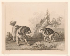 Hund und Katze in Kampfhaltung (Tiere nach Gemälden holländischer Meister)