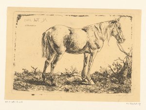Pferd an einem Baum