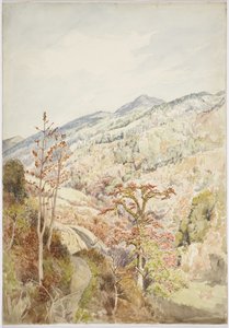 Bewaldetes Tal - Cuetzalan, Puebla, Golf von Mexiko