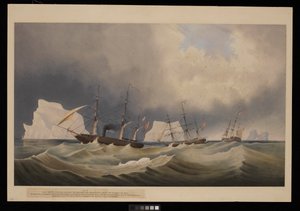 H.M.S. Phoenix mit ihren Begleitern, The Diligence und Breadalbane, unter den Eisbergen