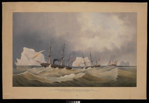 H.M.S. Phoenix mit ihren Begleitern, The Diligence und Breadalbane, unter den Eisbergen