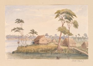 Sarawak aus Westindien, Nordamerika und Borneo-Sammelalbum