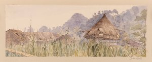 Dorf und Haupthaus des Segu-Stammes oder am Manuk- oder Segur-Fluss aus dem Westindien-, Nordamerika- und Borneo-Sammelalbum