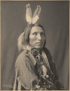 Einsamer Elch, Sioux