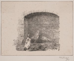 Die Hühner und Enten von Johan Adolph Kittendorff