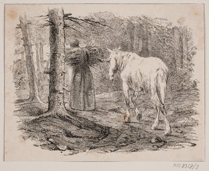 Die Frau und das Pferd
