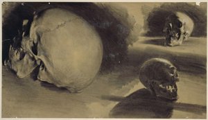 Drei Ansichten eines Schädels von Adolph Menzel