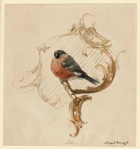 Ein Dompfaff auf der Stange vor Rocaille von Adolph Menzel