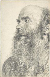 Kopf eines bärtigen Mannes von Adolph Menzel