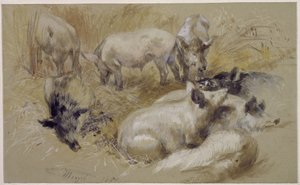 Schweine im Kornfeld von Adolph Menzel