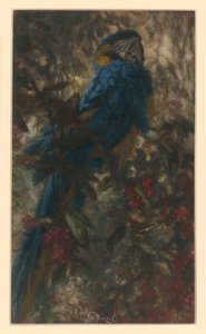 Süße Freiheit. Aus dem "Kinderalbum" von Adolph Menzel