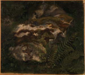 Studie eines moosbewachsenen Steins und von Farnen von Adolph Tidemand