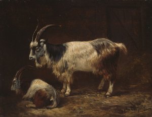 Zwei Ziegen von Adolph Tidemand