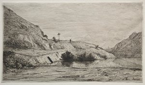 Ufer der Rhone
