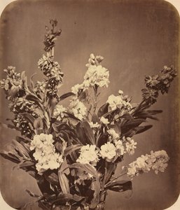 Blumenstrauß, um 1855