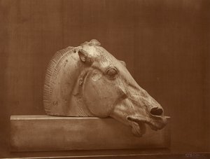 (Kopf eines Pferdes vom Giebel des Parthenon, British Museum) von Adolphe Braun
