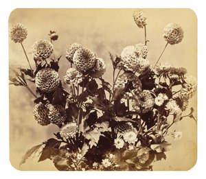 Ohne Titel, ca. 1860 (Albuminabzug)