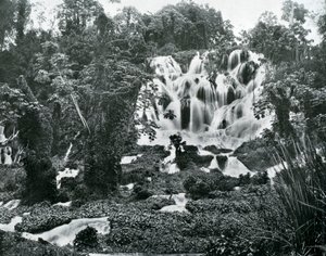 Roaring River Falls, Jamaika, um 1905
