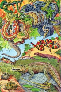 Illustration von Reptilien, ca. 1923