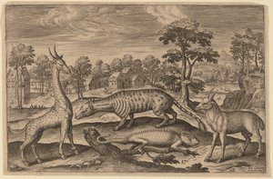 Eine Giraffe, ein Chamäleon, eine Zibetkatze und eine Antilope von Adriaen Collaert