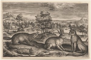 Ein Maulwurf, ein Dachs, ein gehörnter Hase und ein Fuchs von Adriaen Collaert