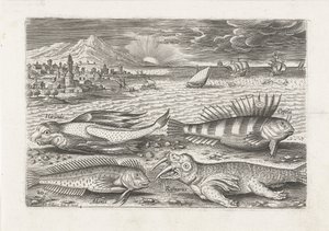 Einige Fische und ein Walross am Strand