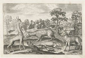 Exotische Tiere von Adriaen Collaert
