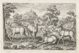 Hirsche von Adriaen Collaert