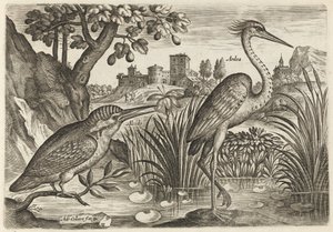Eisvogel und Graureiher von Adriaen Collaert