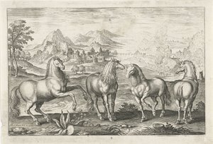 Pferde von Adriaen Collaert