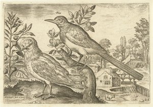Zwei Vögel in einer Landschaft von Adriaen Collaert