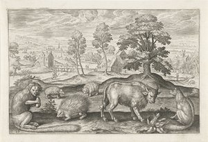 Verschiedene Tiere (Vierpotige dieren, Animalivm Qvaddrvpedvm) von Adriaen Collaert