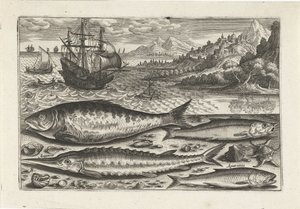 Vier Fische am Strand