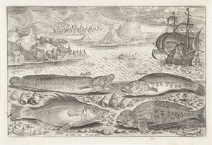 Vier Fische am Strand
