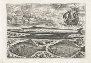Vier Fische am Strand