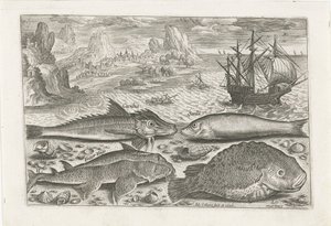 Vier Fische am Strand