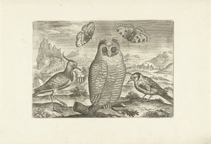 Vögel und Schmetterlinge in einer Landschaft von Adriaen Collaert