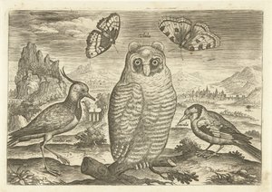 Vögel und Schmetterlinge in einer Landschaft von Adriaen Collaert