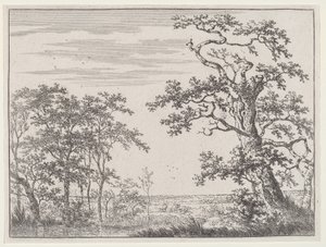 Landschaft mit einem Bach und einem alten Baum von Adriaen Hendricks Verboom