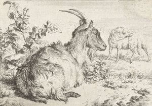 Liegende Ziege, 1670 von Adriaen van de Velde
