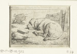 Schlafender Hund