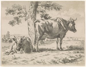 Zwei Kühe bei einem Baum von Adriaen van de Velde