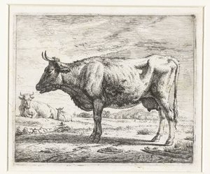 Zwei Kühe und ein Schaf (Verschiedene Tiere) von Adriaen van de Velde