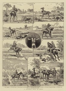 Eine Nylghau-Jagd in Indien