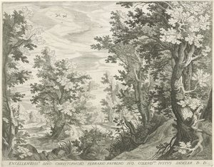 Waldlandschaft