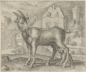 Fabel von der Ziege und dem jungen Wolf