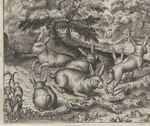 Fabel von den Hasen und den Fröschen