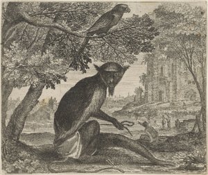 Fabel von dem Papagei und dem Affen von Egidius  Sadeler (II)