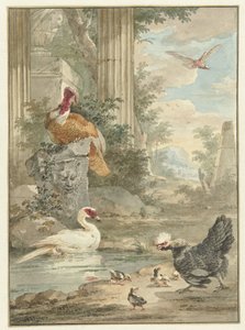 Truthahn und andere Vögel in der Nähe klassischer Ruinen in einem Park